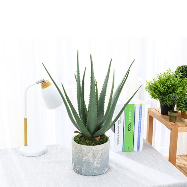 Plantas artificiais plásticas de Vera For Indoor Decoration Fake do aloés