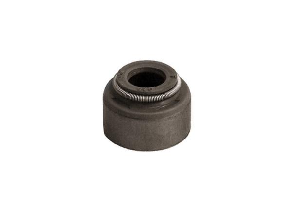 O carrinho de golfe do selo da haste de válvula do gás do carrinho de golfe parte os ajustes G1016566 para o gás DS do carro do clube