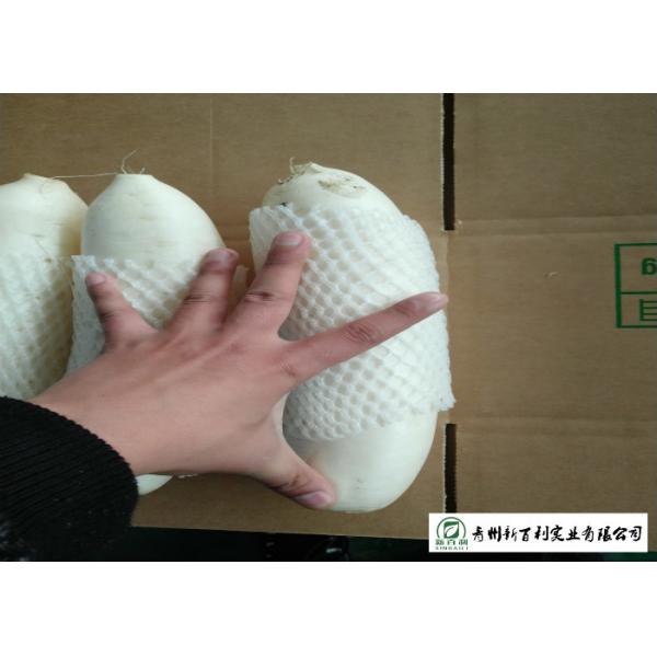 Natural Big White Radish Rich Nutrition Own Base For Human Health