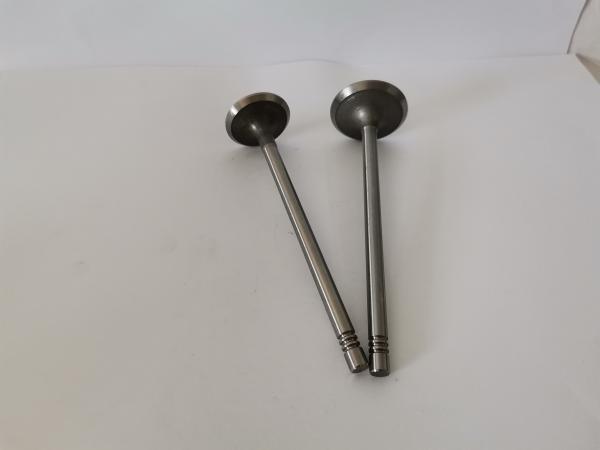 FORD Diesel Engine Valve 3062AC Administration Valves Engine Components