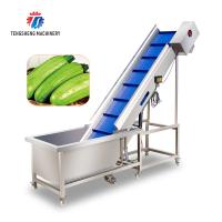 Naranja vegetal eléctrica pre - hacer espuma máquina del elevador