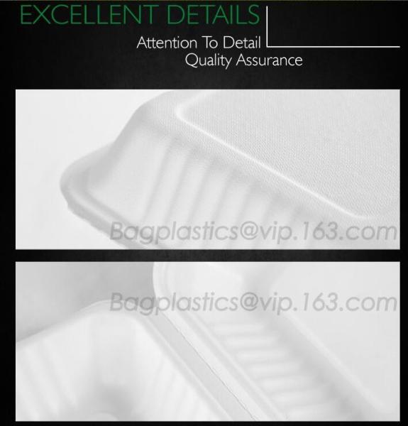 disposable takeout box for lunch, carry out container, meal prep food container Pla lunch box