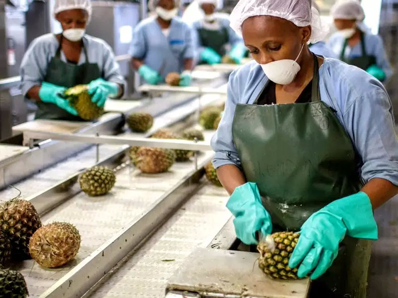 Стерилизация УХТ технологической линии продукции напитка пюре ананасового сока