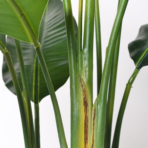 Artificial Bird of Paradise Plant 6.8FT - Luxury Faux Palm Tree in White Planter for Indoor Office Decor