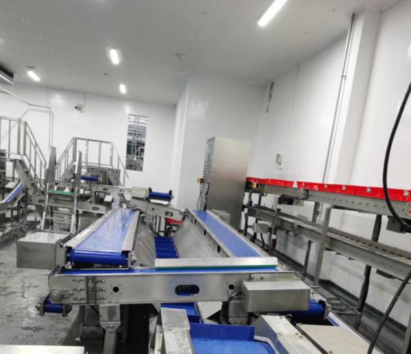 Slaughtering Equipment Semi-Automatic Stainless Steel PLC Control 220V/380V For Pig Cattle Sheep Complete Abattoir Processing Line CE Certified