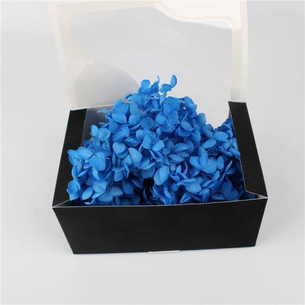 Multi Colors A Grade Preserved Hydrangea Flowers For Creative Gift