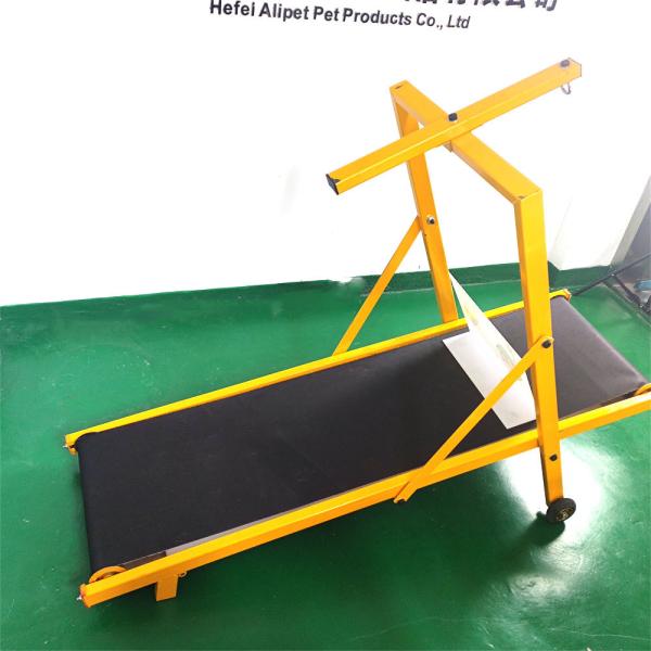 Shipping Port Shanghai or Nanjing Colorful Iron Dog Treadmill for Large Medium Dog