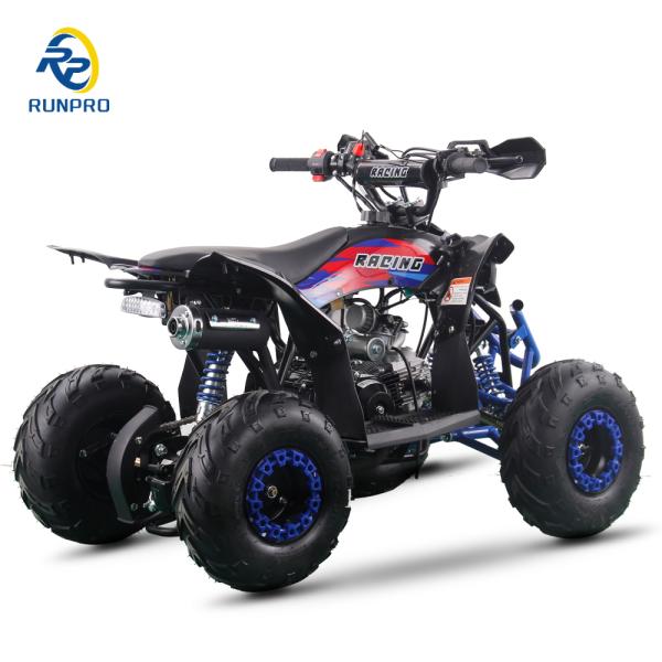 110CC 4-stroke Gas ATV 4-Wheeler Quad Bike with 6 Inch Tire Auto Clutch Transmission