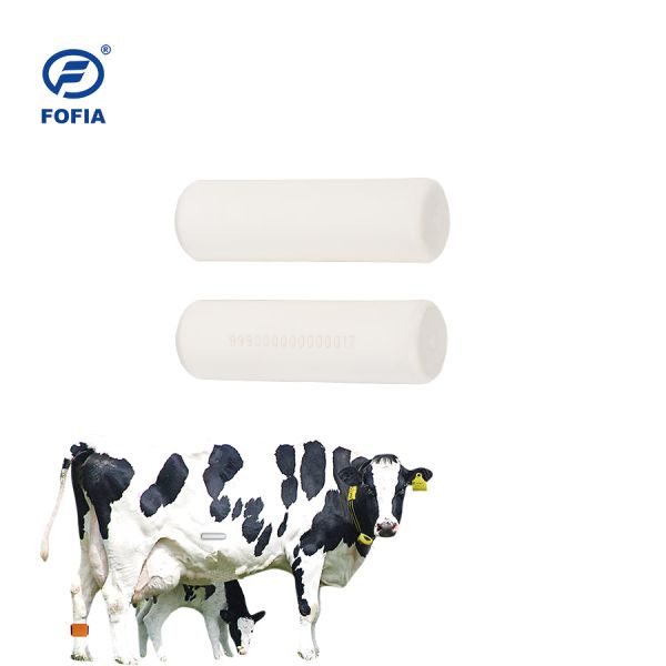 White Reticuloruminal Function Cattle Rumen Bolus Wireless Smart PH Measurements Temperature Sensor Chip ISO11784 5 FDX B