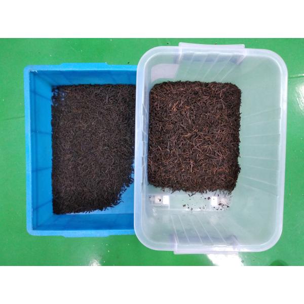 предпосылка точности машины 99,99 сортировщицы цвета чая 2t/H сортируя переменная светлая