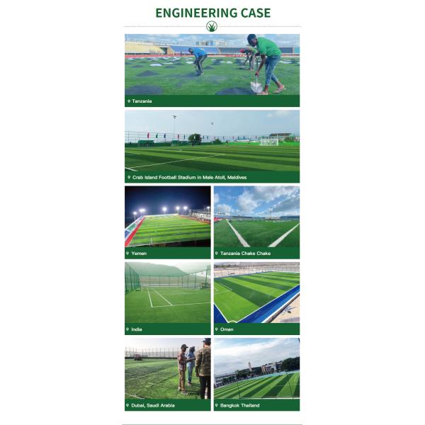 Hot Sale Free Sample Best Price Premium 50mm Artificial Grass for Professional Football Fields