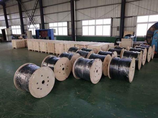Annealing 304 316 ASTM A213 Stainless Steel Coil Tube