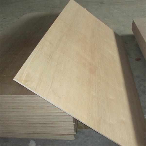 Furniture Poplar 1250×2500mm Bintangor Plywood