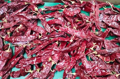 XingLong secou Paprika Peppers que 16CM desidratou Chili Pods vermelho