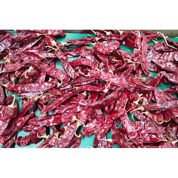 XingLong высушило перцы паприки 16CM обезводило красные стручки Chili
