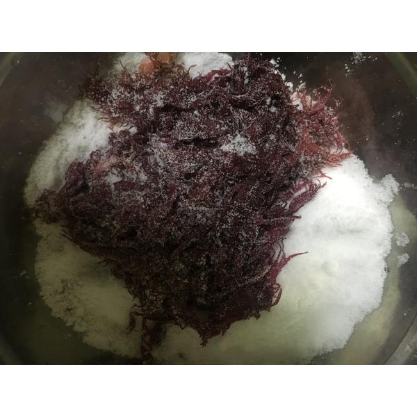 FROZEN Dried Seaweed Tosaka In Red Green Style Flavored Seasoned