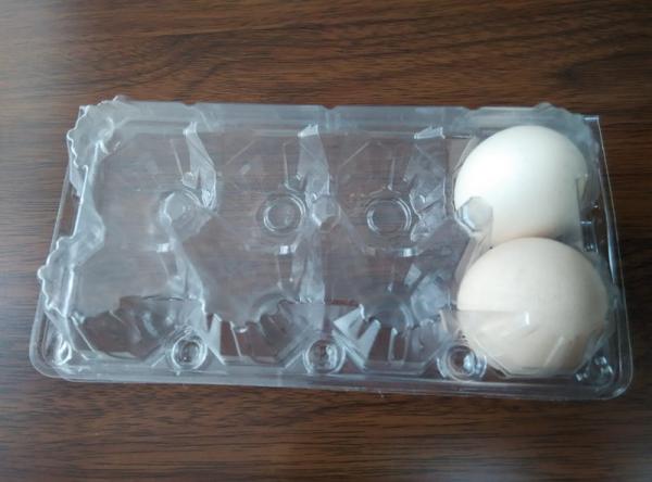 30 holes egg tray big sizePVC/PET/blister products