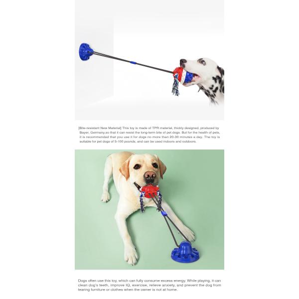 Резиновый взаимодействующий любимец забавляется шарик фидера собаки тренировки IQ медленный