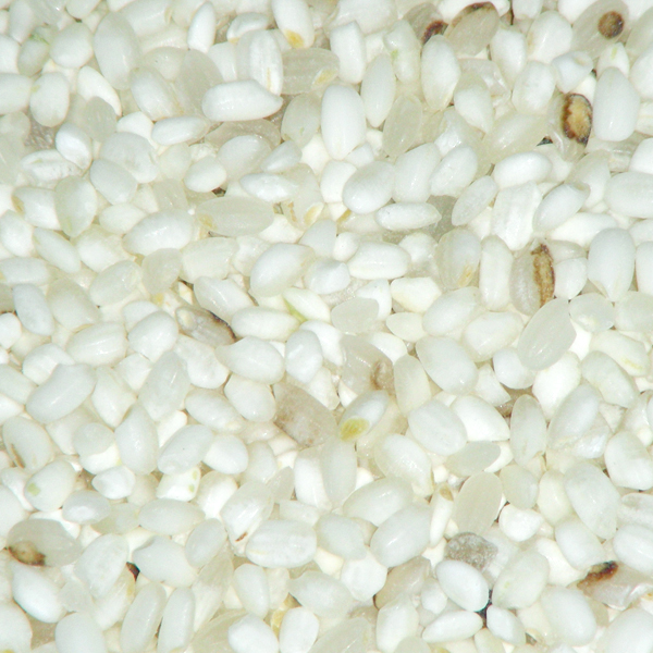 Trieuse électronique de couleurs Wenyao AI, Trieuse de graines, Trieuse de riz, Trieuse de paddy