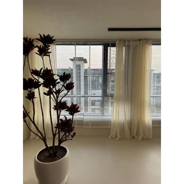 Hollowed White Cotton Lace Embroidery Muslin Curtains Blackout Window Hotels Hospitals