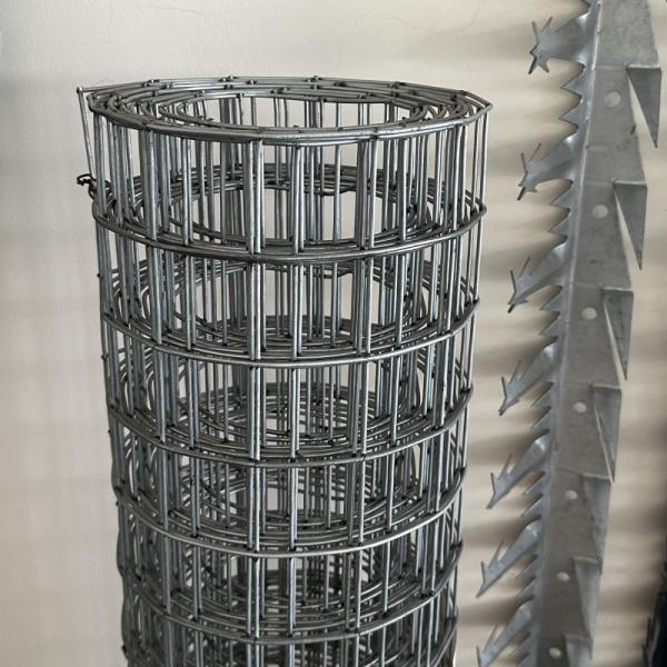 Hot Dipped Galvanized Welded Wire Mesh BWG14-BWG24 for Animal Cage