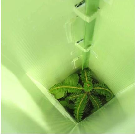 Poteaux en FRP résistant à la corrosion pour jardinage