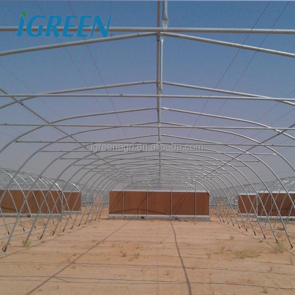 Low Cost Metal Frame Greenhouse for Vegetable Growing
