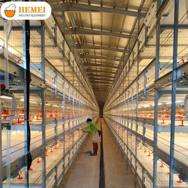 Multi Tier Automatic Bird Harvesting Broiler Chicken Cage