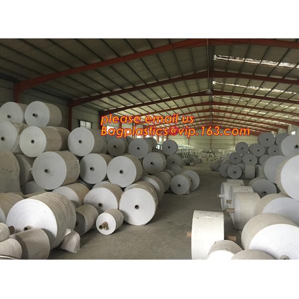 Плантатор сада пластмассы полиэтилена ЛДПЭ кладет в мешки для овоща, дерева и саженец цветка, ЛДПЭ пластмассы отверстия 15 ГАЛЛОНОВ растет б