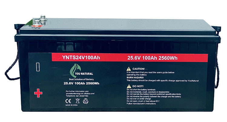 литий-ионные аккумуляторы жизни длительного цикла 2560wh циклов батареи 3000 24V LiFePo4 100ah перезаряжаемые