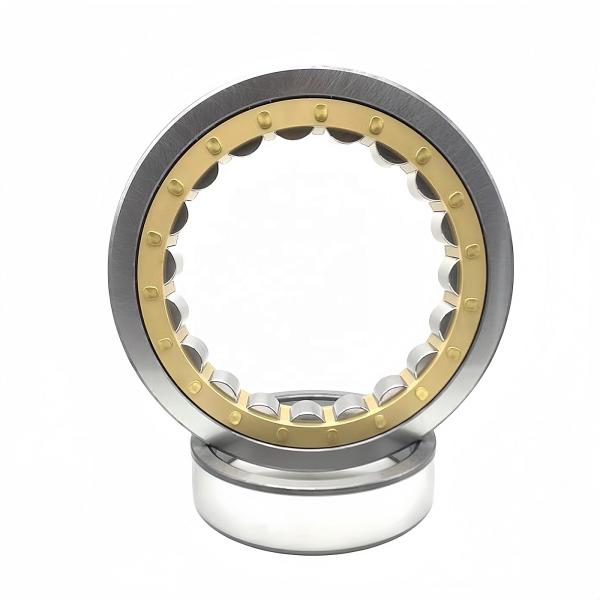 Chrome Steel Gcr15 Cylindrical Roller Bearing NU/NJ/NF212EM 60*110*22mm for Retail