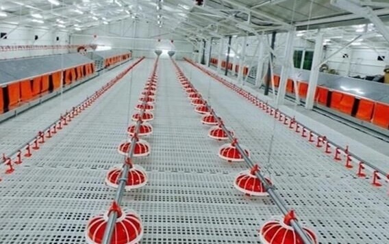 Настил фермы козы цыпленка 20X26mm пластиковый Slatted