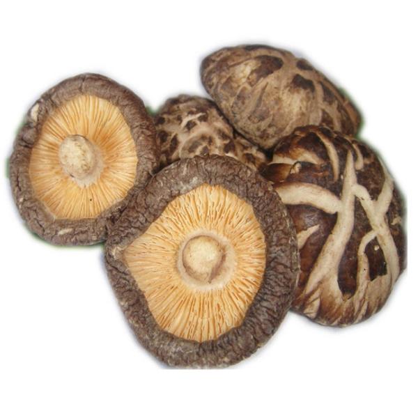 гриб шиитаке 100g 250g 1kg 3kg сухой с ISO HACCP IFS BRC