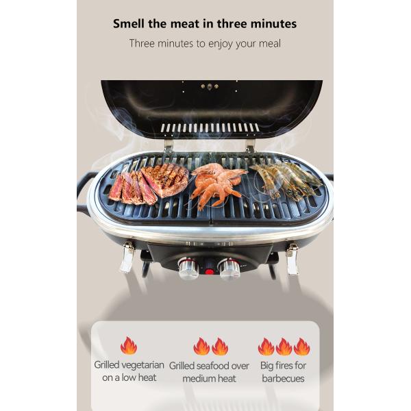 Easily Assembled 2 Burner Propane BBQ Gas Grill with Rotisserie Natural Gas Type