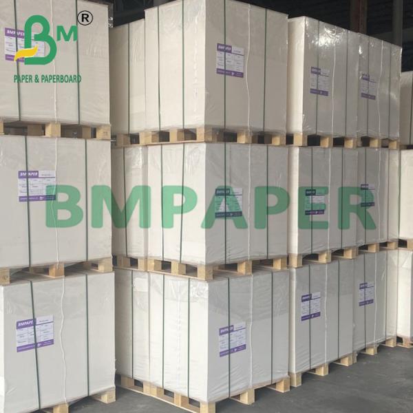 200 g de papel blanco para tazas y tazas de calidad alimenticia