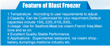 Комната холодильных установок вентиляторной системы охлаждения/коммерчески быстрый замерзая небольшой замораживатель взрыва