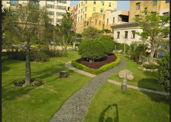 Professional Residential Fake Grass Landscaping Save Water Fire Resistance