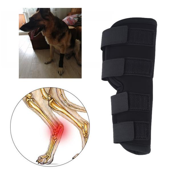 Pet Knee Pad 