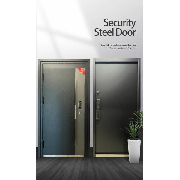 Modern Simple Design Steel Entrance Door for House Factory Anti-theft Swing Open Style Outdoor Application Interior Position