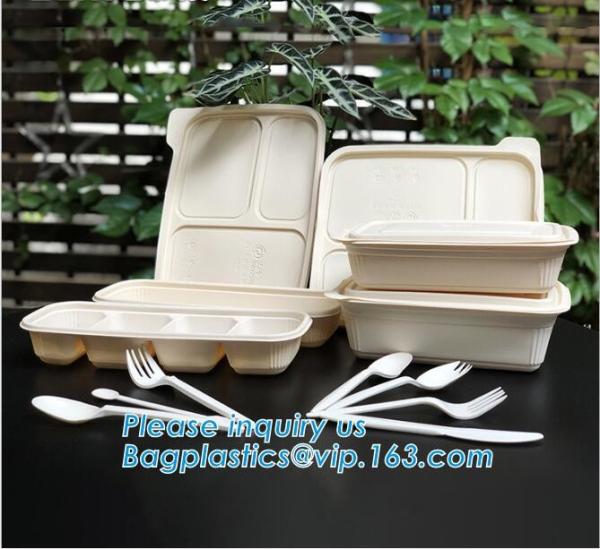Take Away Fast Food, Compartment Packing Box, Containers, Starch Biodegradable, Environmental Lunch Meal Box