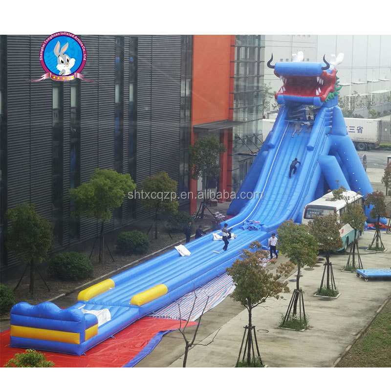 Long Double-lane Pool Water Slide Inflatable Water Slide