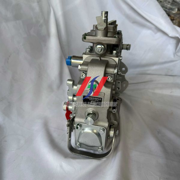 5311945 6LTAA9.3 Diesel Pump - Engine Fuel Pump Assembly Replacement