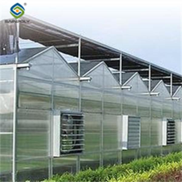 Agricultural Polycarbonate Multi Span Greenhouse Venlo Style 30-60m Length
