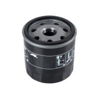 152089599R Filtros de óleo para automóveis para automóveis