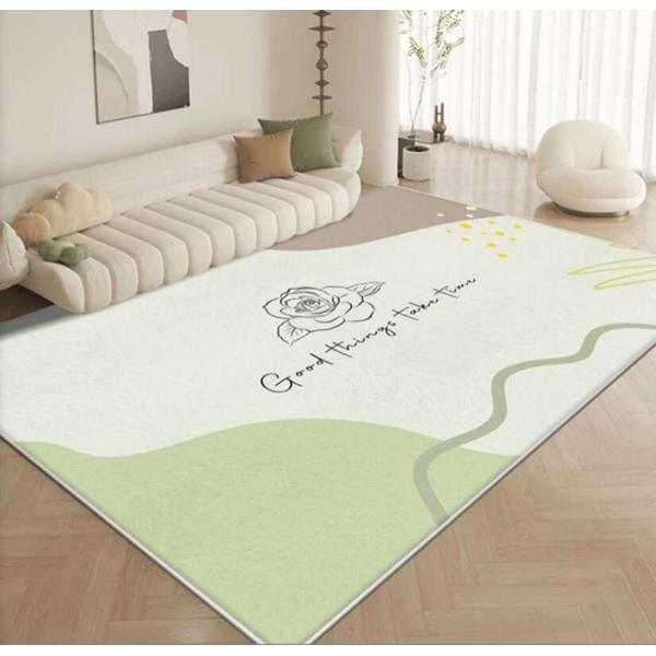 Imitation Cashmere Fresh And Simple Living Room Floor Rugs With Special Style