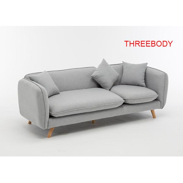 Light Gray Contemporary Bedroom Furniture Living Room Luxury Fabric Sofas