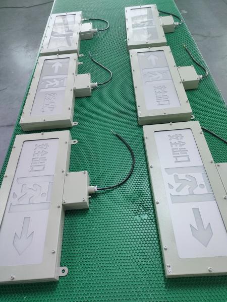 Luz de salida LED a prueba de explosiones OEM 24VCC/36VCC/CA | Iluminación de seguridad certificada para aplicaciones de Zona 1/Zona 2