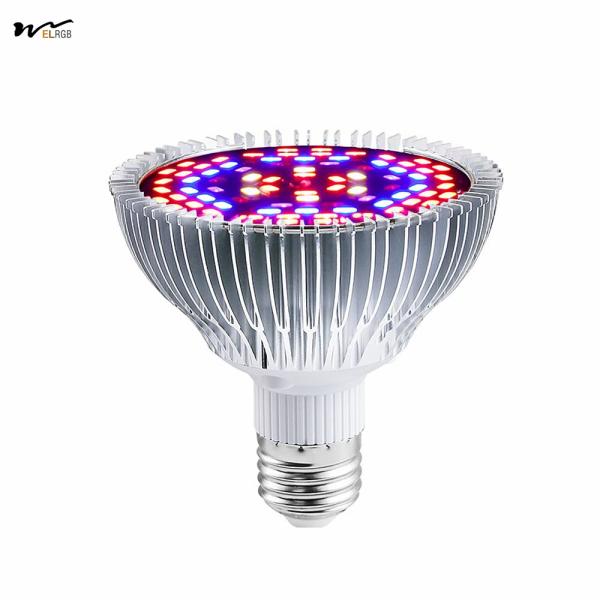 Plantes d'intérieur, légumes, fleurs, jardin, serre, succulente, lampe à LED à 50 W, à spectre complet avec UV et IR