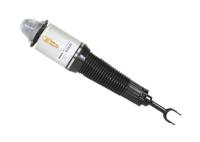 Automóvel Front Strut Replacement Air Spring 4E0616039A de Audi A8