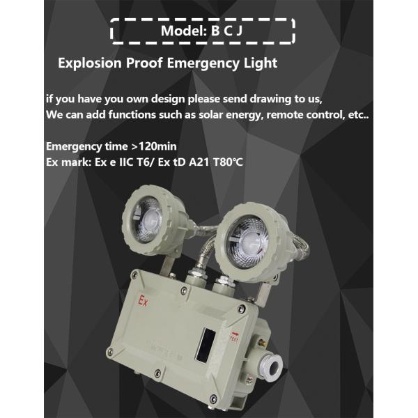 BCJ Explosion Proof Emergency LED Lights with 50000h Life and OEM Service